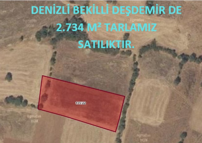 DENİZLİ BEKİLLİ DEŞDEMİR DE 2.734 M² TARLAMIZ SATILIKTIR. - DENİZLİ BEKİLLİ fotoğraf 6
